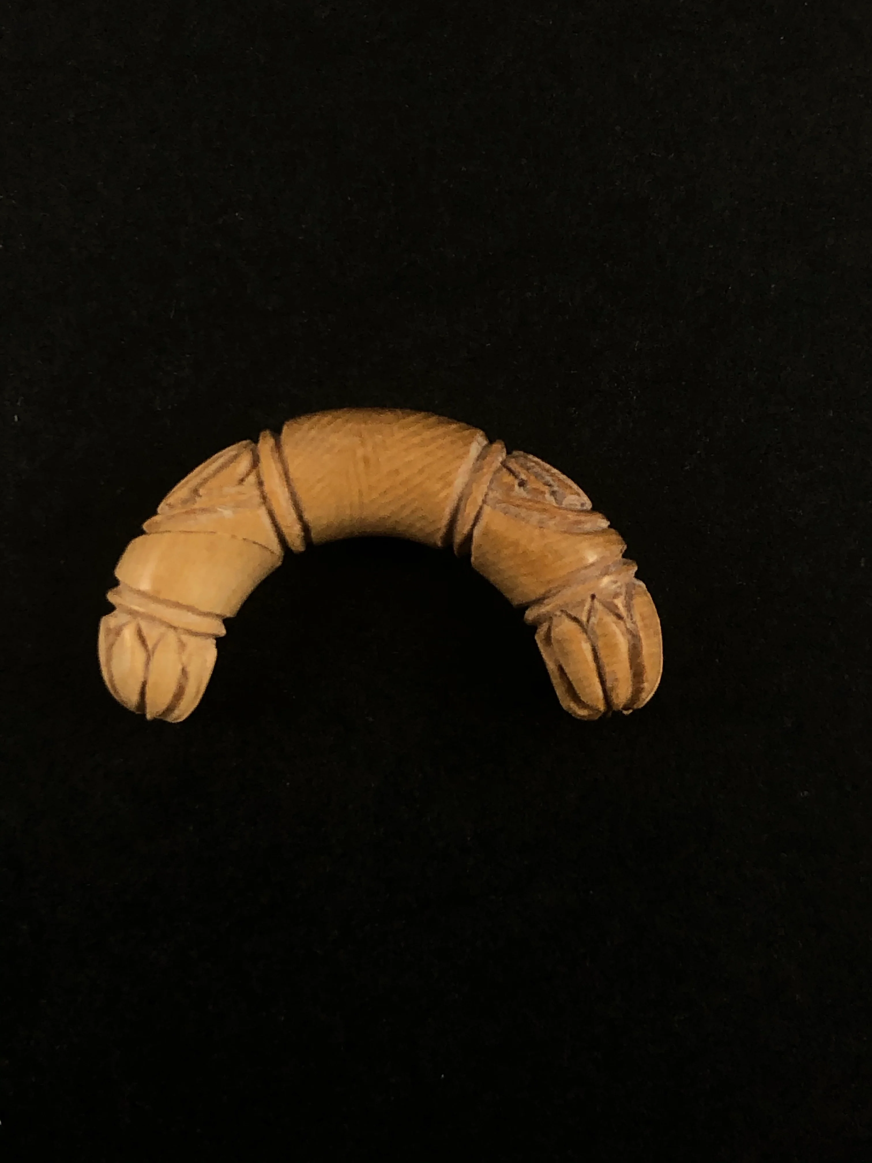 Sale Fossil Mammoth Ivory