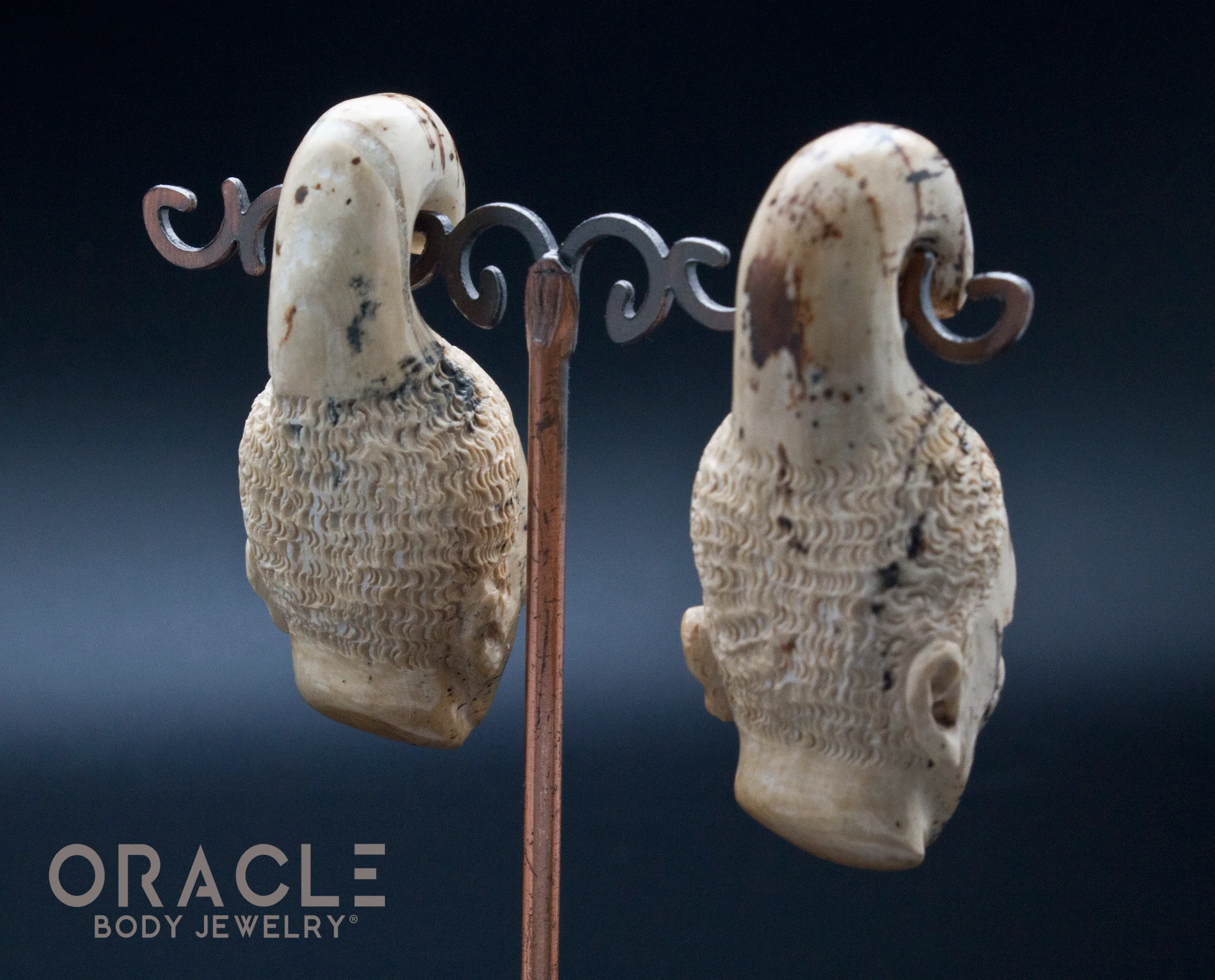00g (10mm) Fossilized Mammoth Ivory Portrait Hangers - Image 3