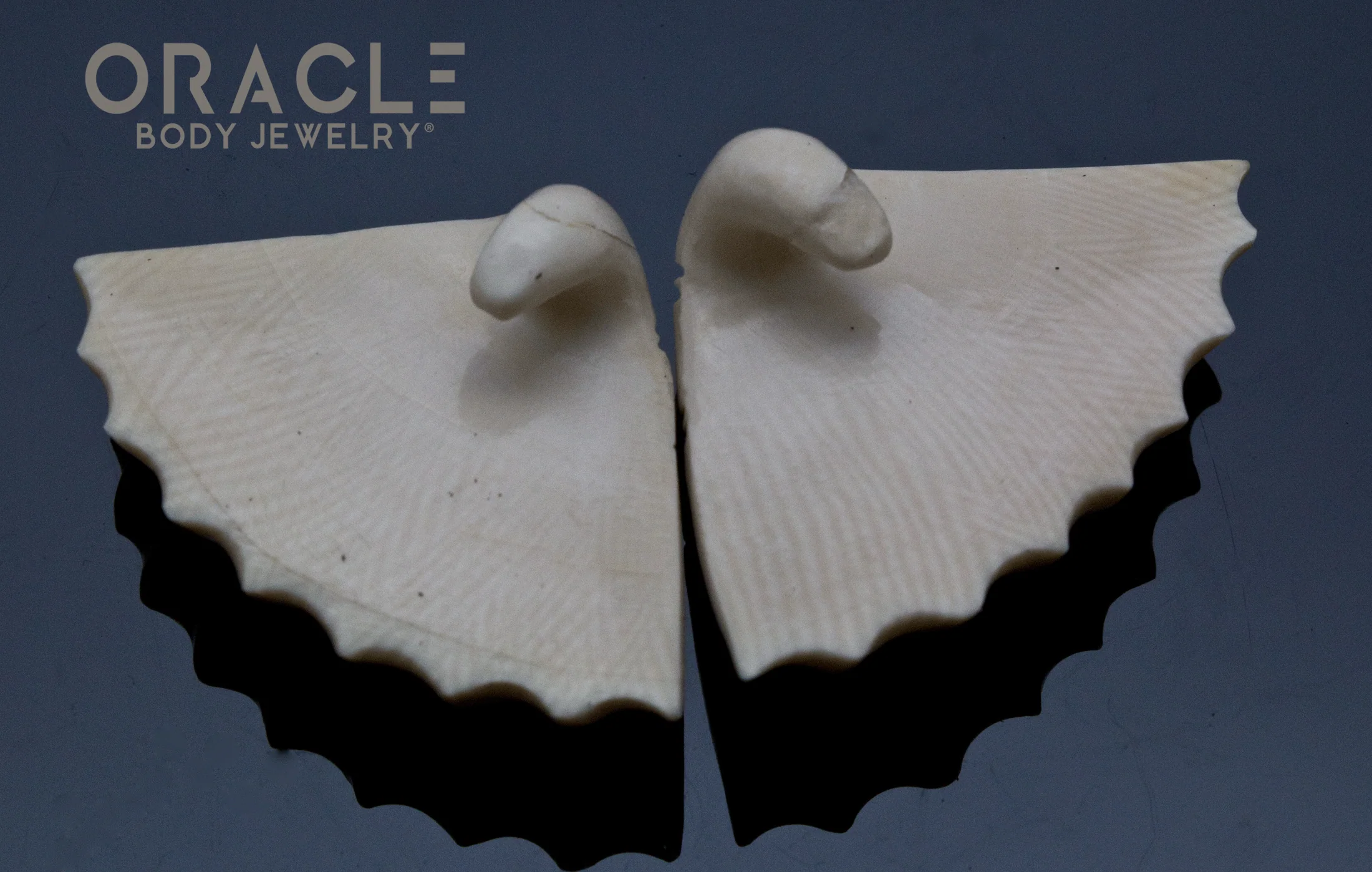 2g (6.5mm) Fossilized Mammoth Carved Shells - Image 2