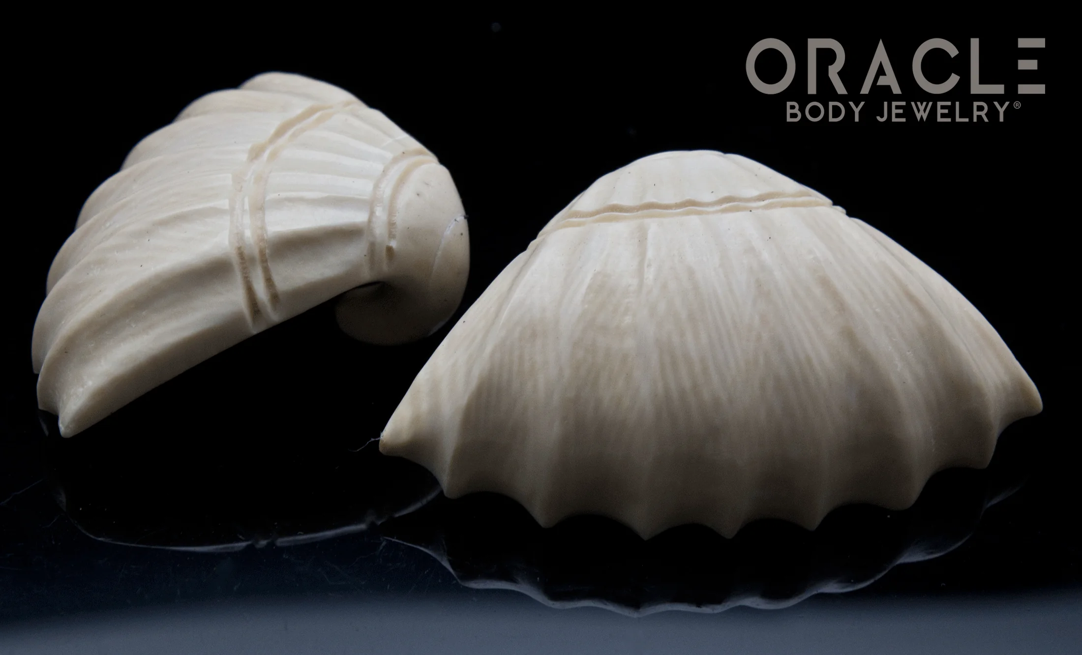 2g (6.5mm) Fossilized Mammoth Carved Shells - Image 3