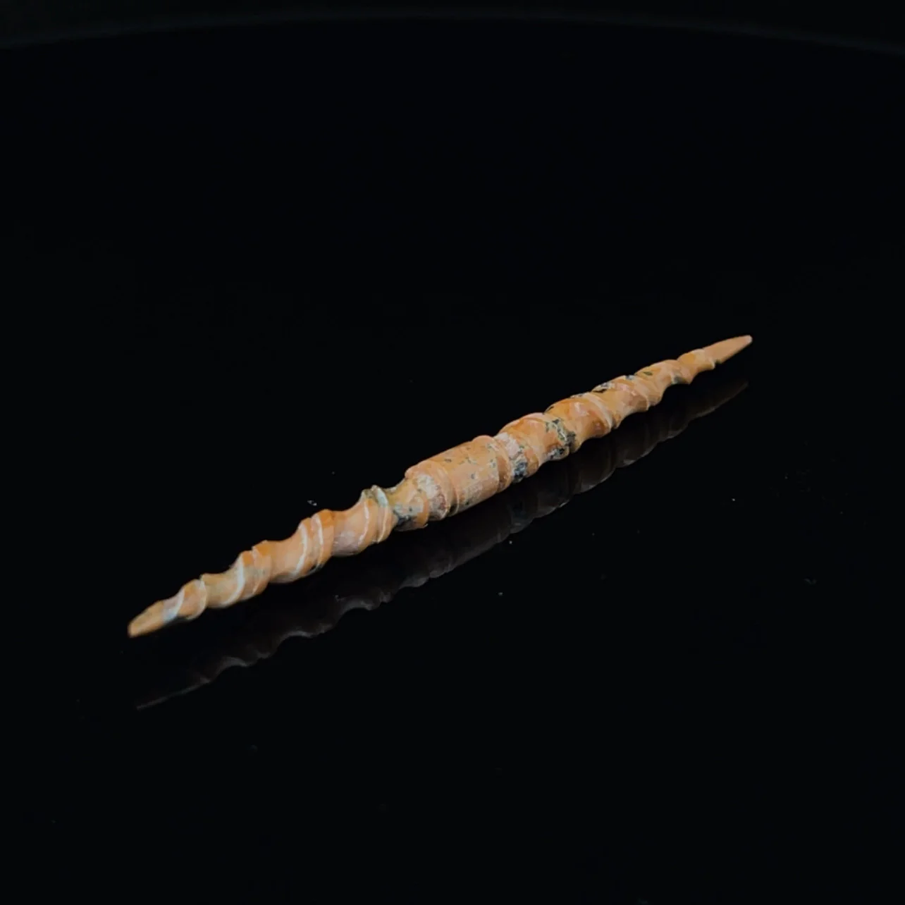 3.5mm Fossilized Mammoth Ivory Carved Septum Spike - Image 2