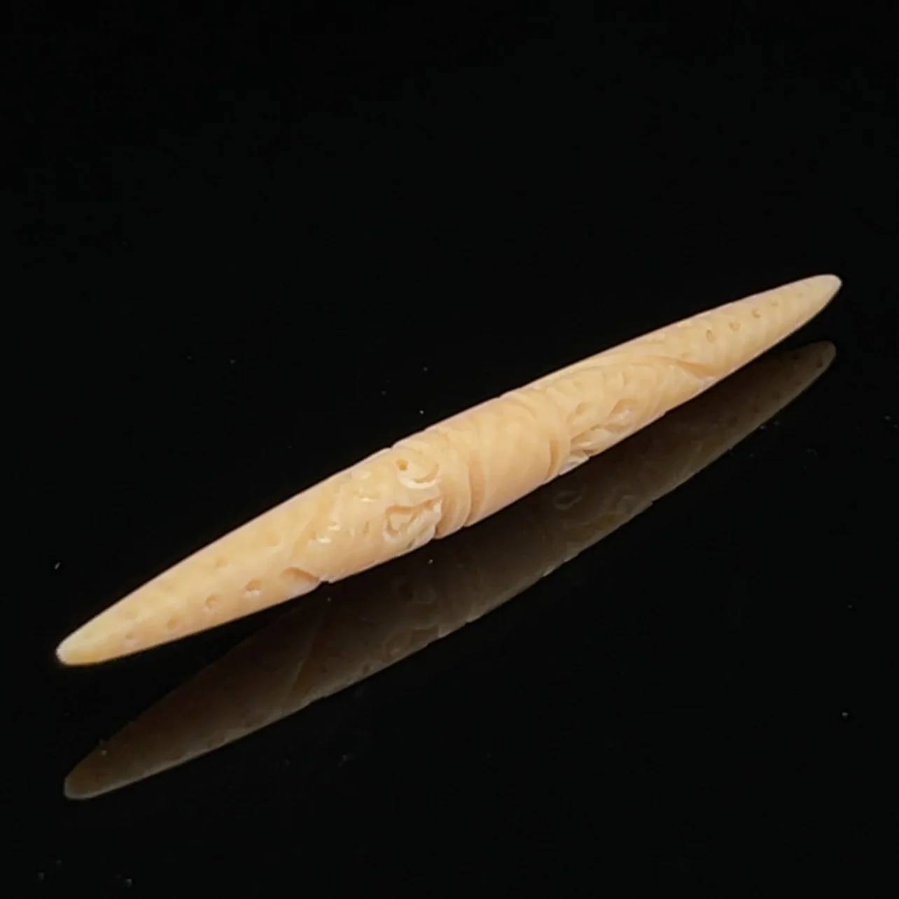 4.5mm Fossilized Mammoth Carved Septum Spike - Image 2