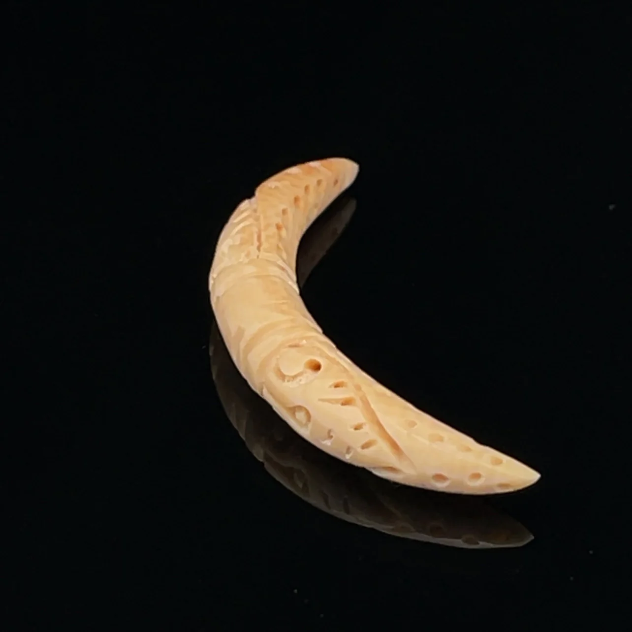 4g Fossilized Mammoth Carved Septum Tusk - Image 2