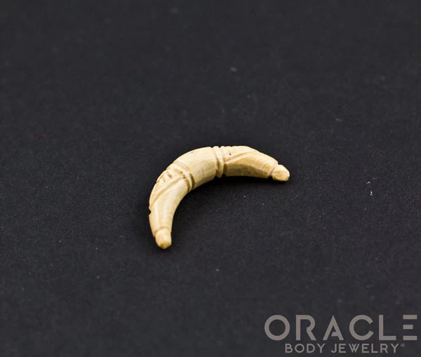 4g Fossilized Mammoth Ivory Septum Tusk - Image 2
