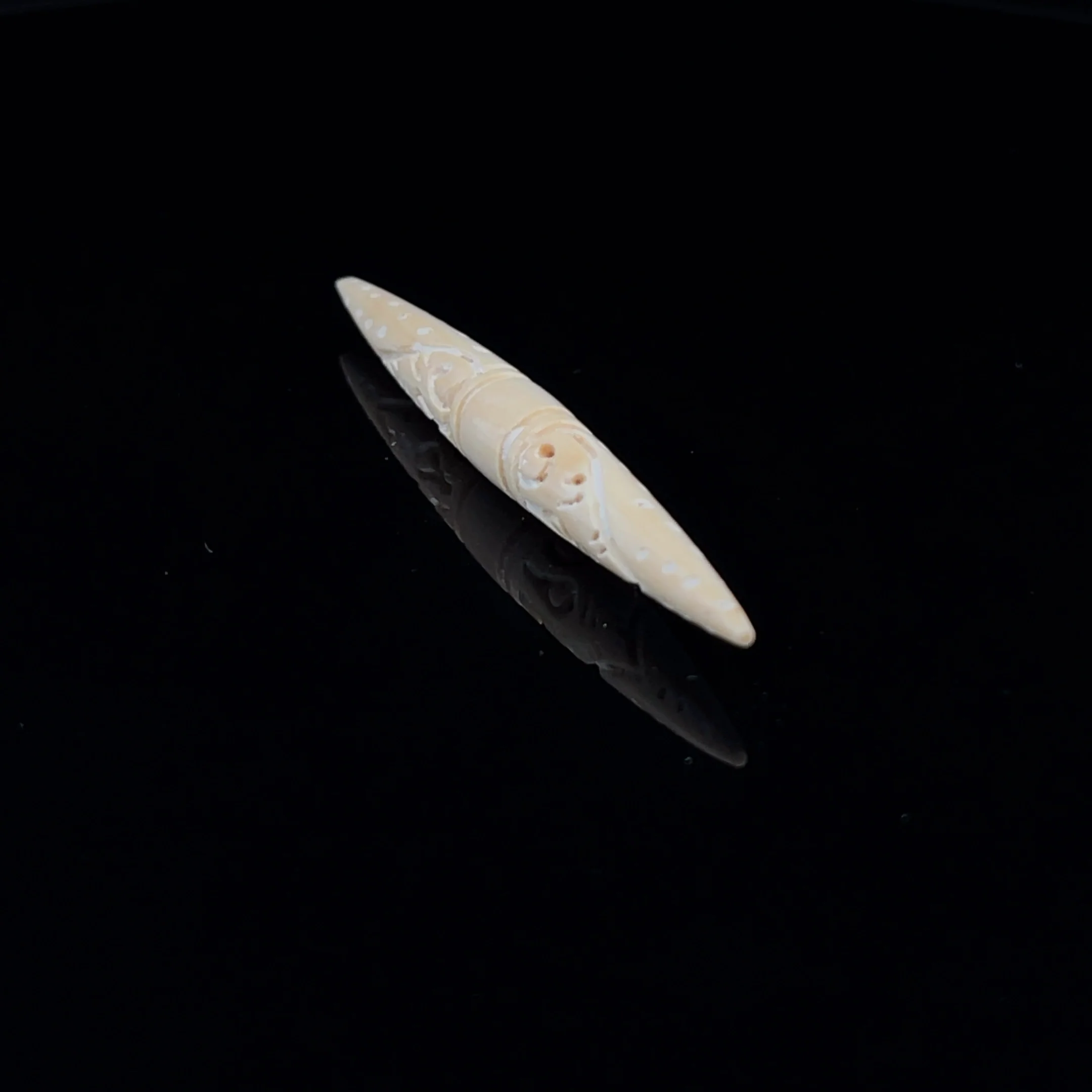 5.5mm Fossilized Carved Mammoth Ivory Septum Spike - Image 3