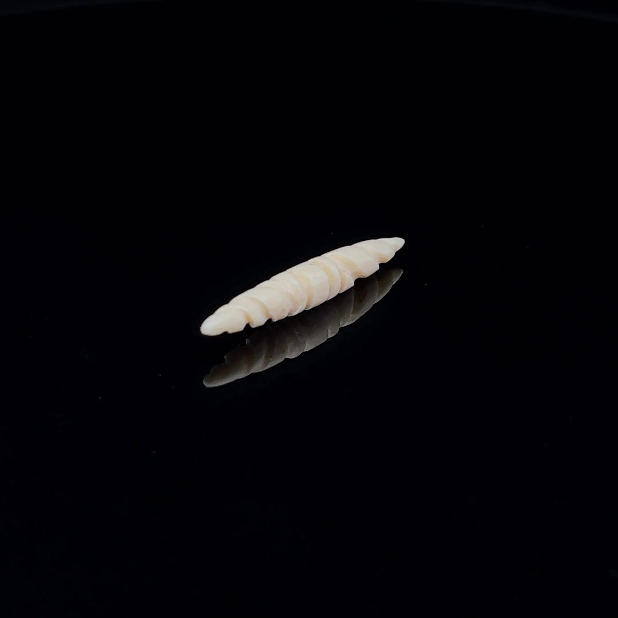 6g (4mm) Fossilized Mammoth Carved Ivory Short Septum Spike - Image 2