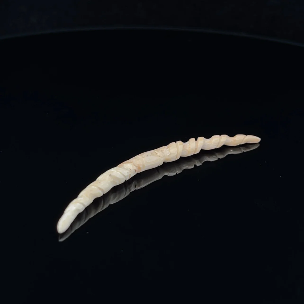 6g (4mm) Fossilized Mammoth Ivory Carved Septum Tusk - Image 2