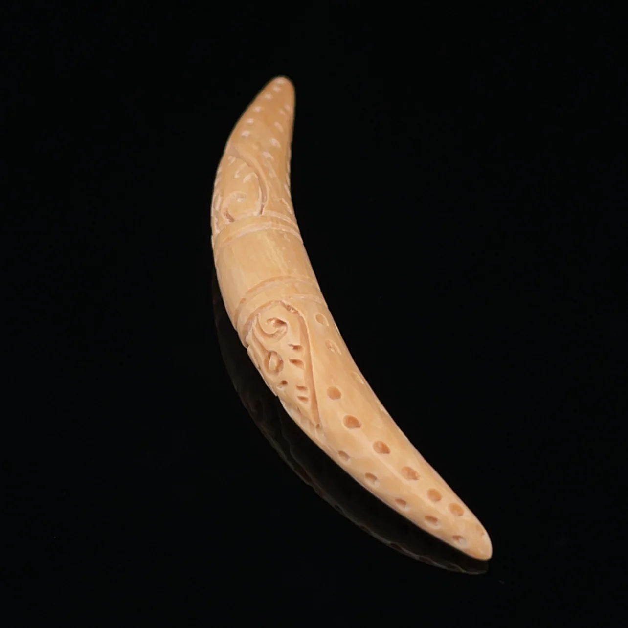 7.5mm Fossilized Mammoth Carved Septum Tusk - Image 2