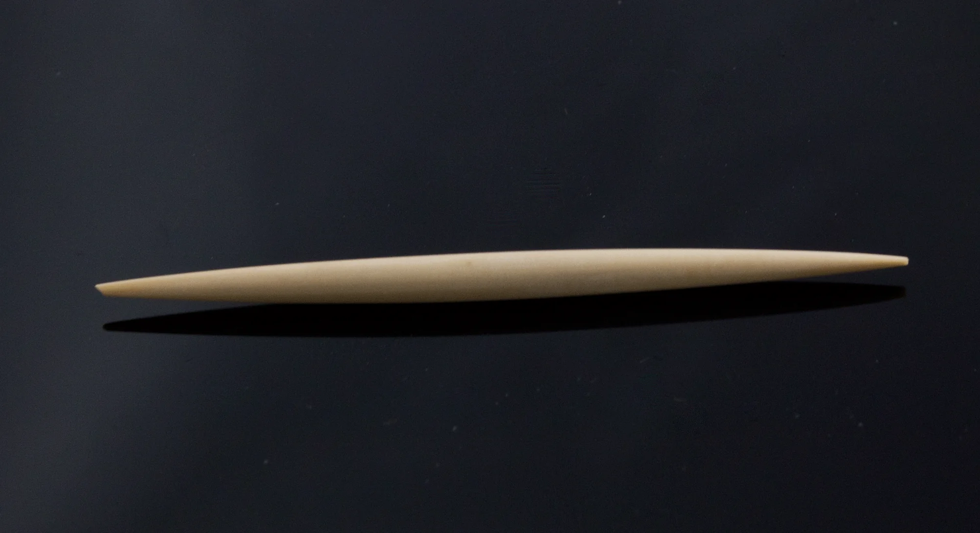8g (3mm) Fossilized Mammoth Ivory Septum Spike - Image 2