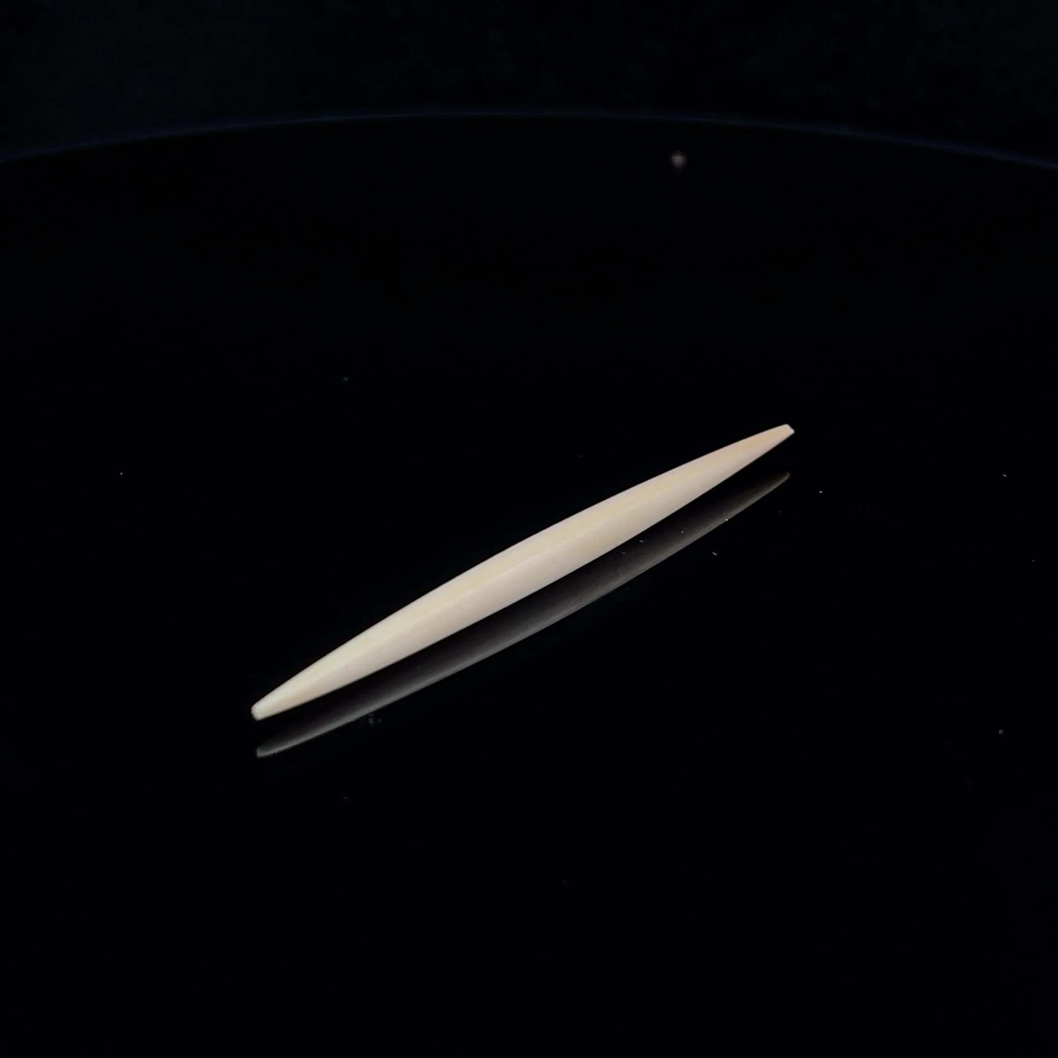 8g (3mm) Fossilized Mammoth Ivory Septum Spike - Image 2