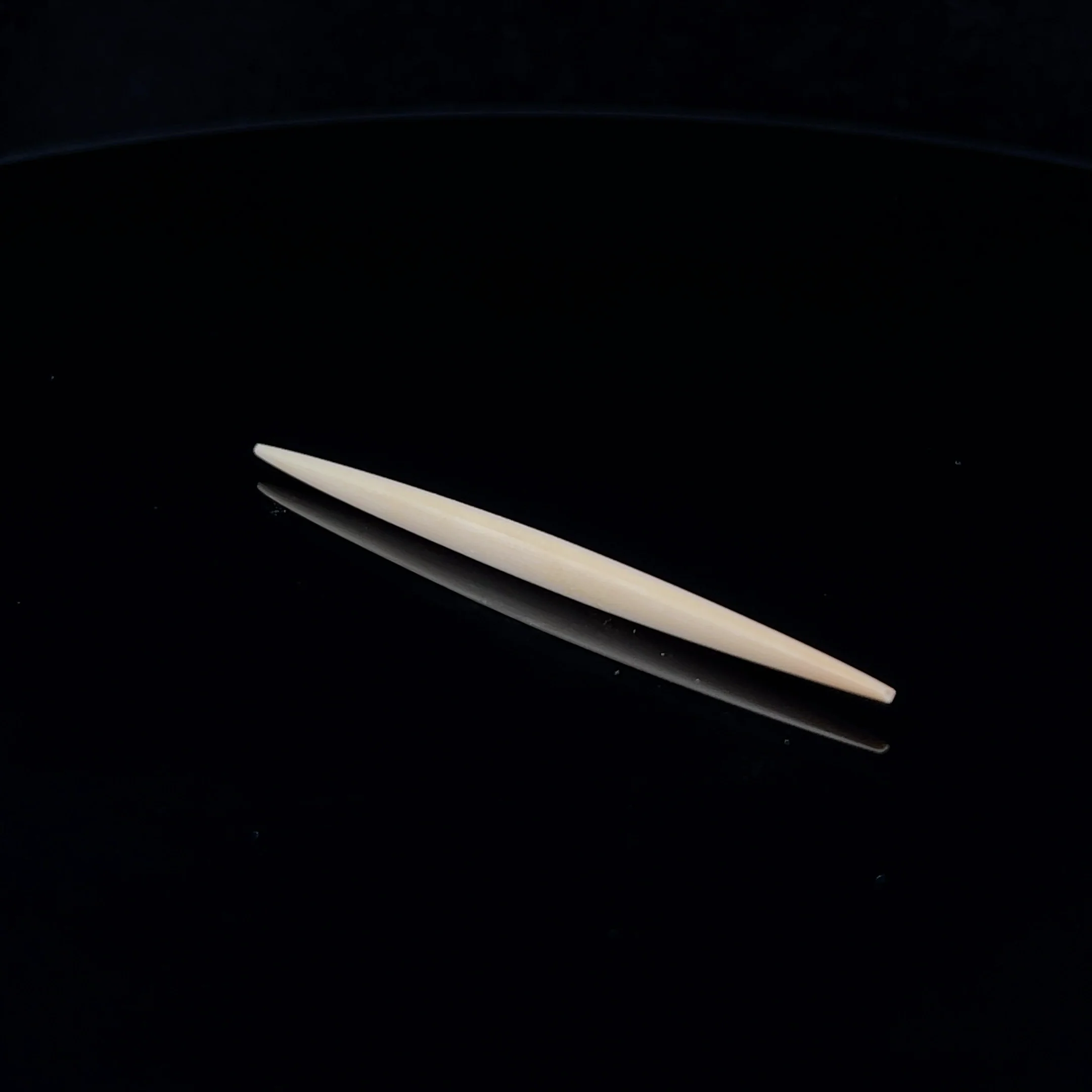 8g (3mm) Fossilized Mammoth Ivory Septum Spike - Image 3