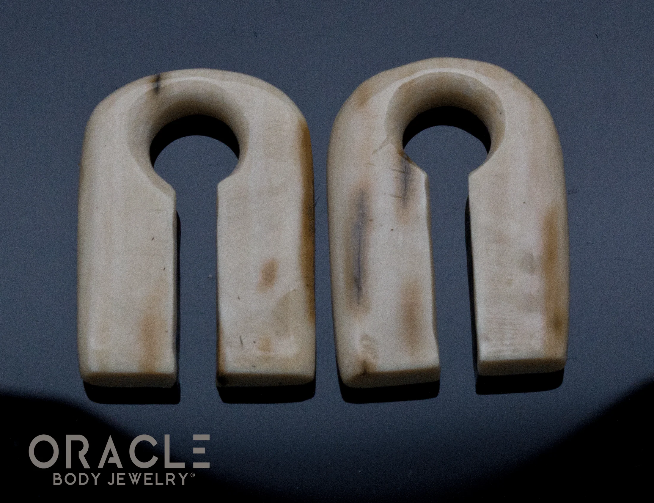 00g (9.5mm) Fossilized Mammoth Carved Hangers - Image 2
