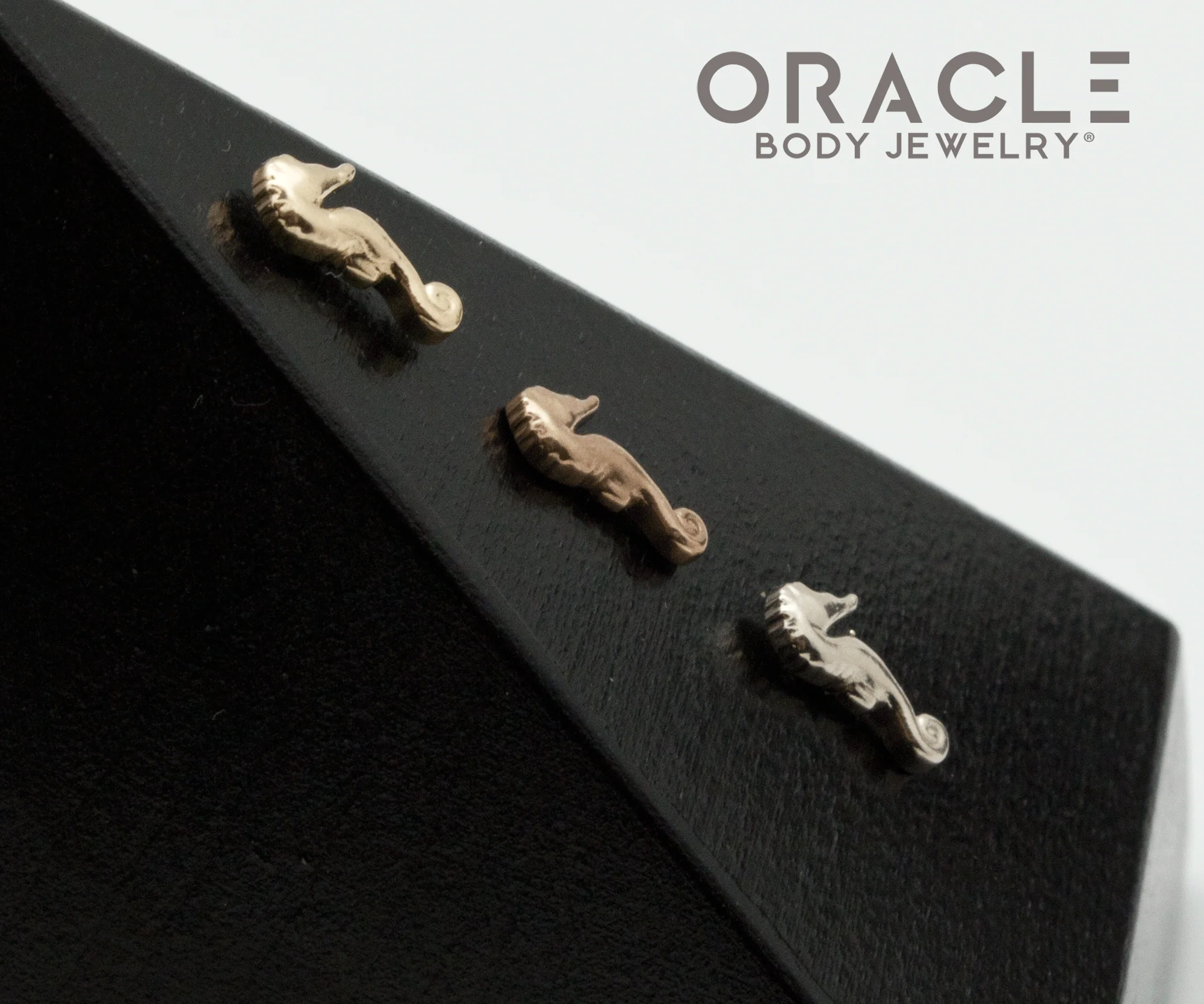 14k Gold Sea Pony Threadless End (Right Facing) - Image 3