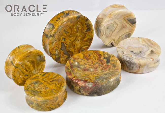 Crazy Lace Agate Concave Solid Double Flare Plugs - Image 2
