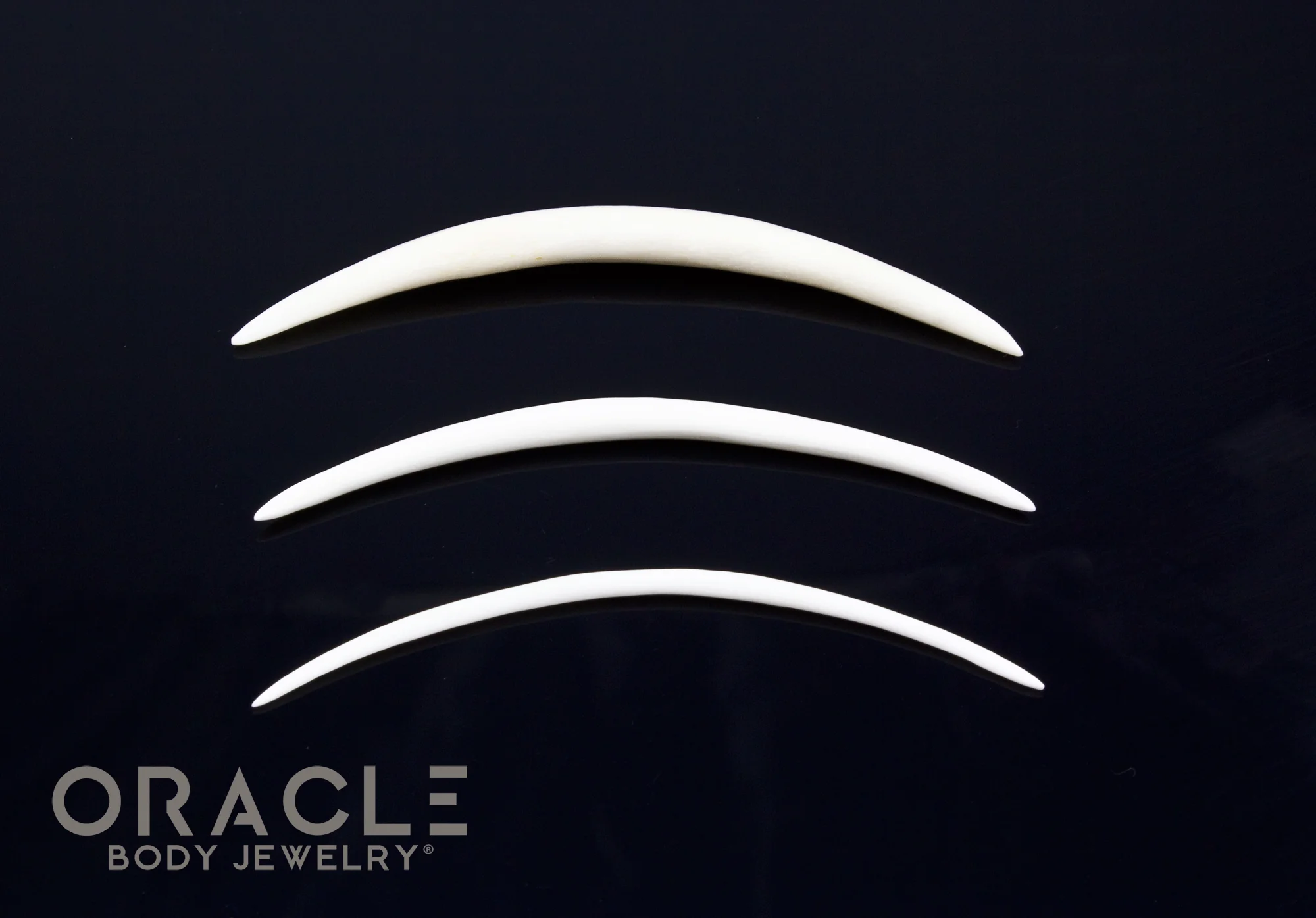 Extra Long 3" Plain Horn and Bone Tusks - Image 3