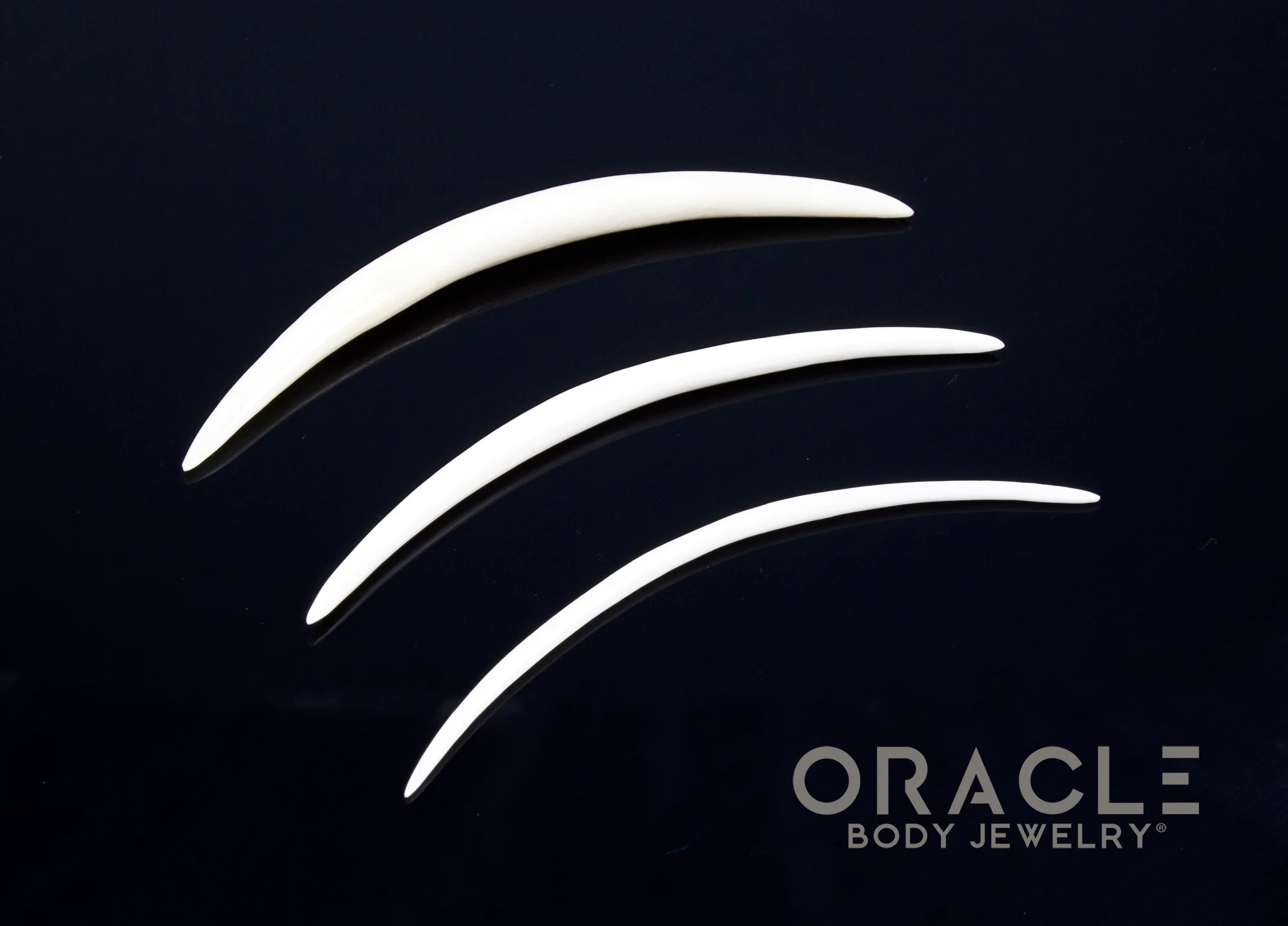 Extra Long 3" Plain Horn and Bone Tusks - Image 4