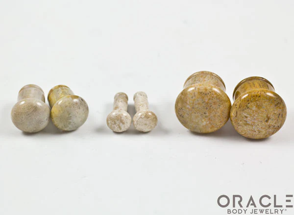 Fossilized Coral Single Flare Plugs - Image 2