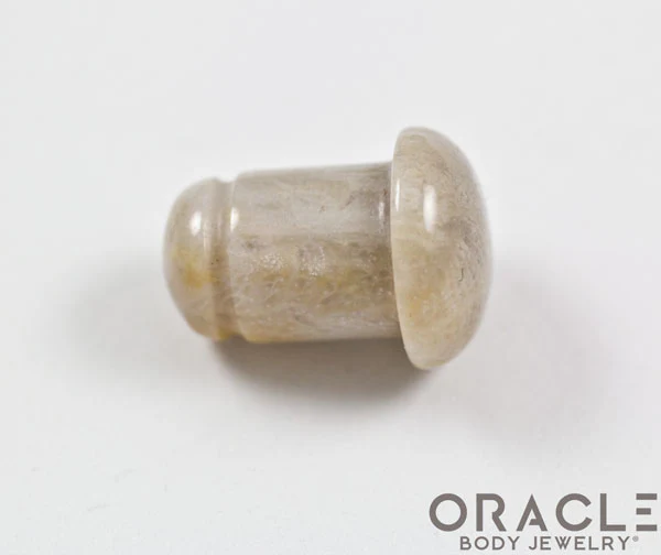 Fossilized Coral Single Flare Plugs - Image 3
