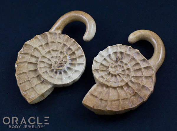 00g (9.5-10mm) Fossilized Mammoth Ivory Ammonites - Image 3
