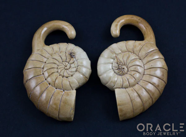 00g (9.5-10mm) Fossilized Mammoth Ivory Ammonites - Image 4