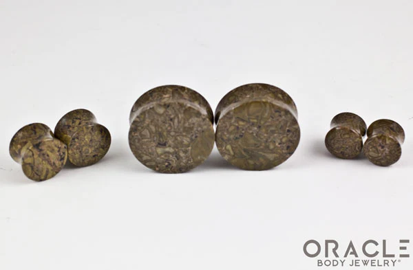 Green Brecciated Jasper Double Flare Plugs - Image 2