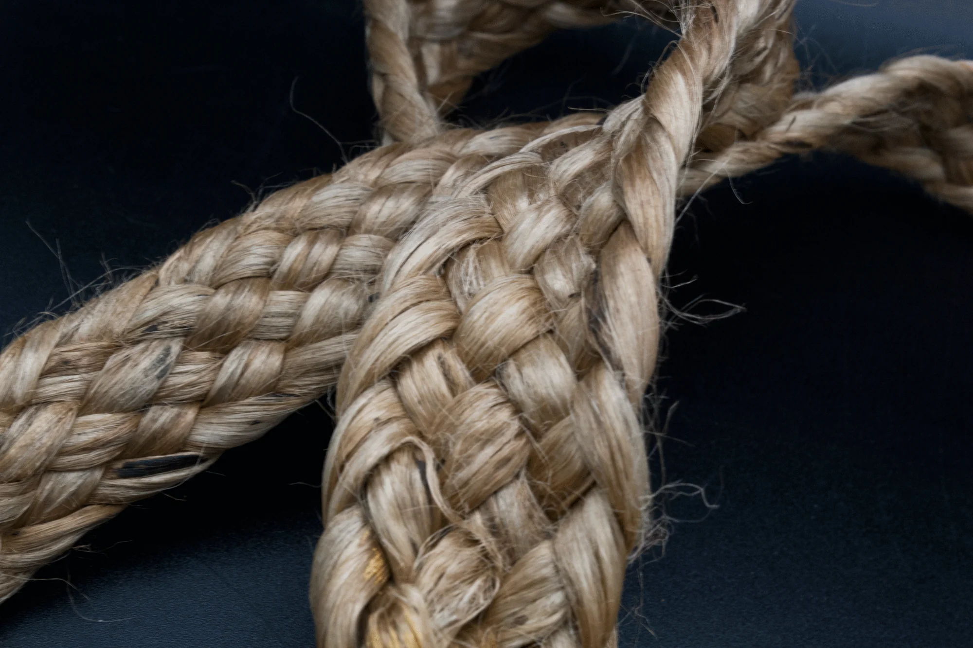 Ceremonial Whip from Phuket Thailand - Image 4