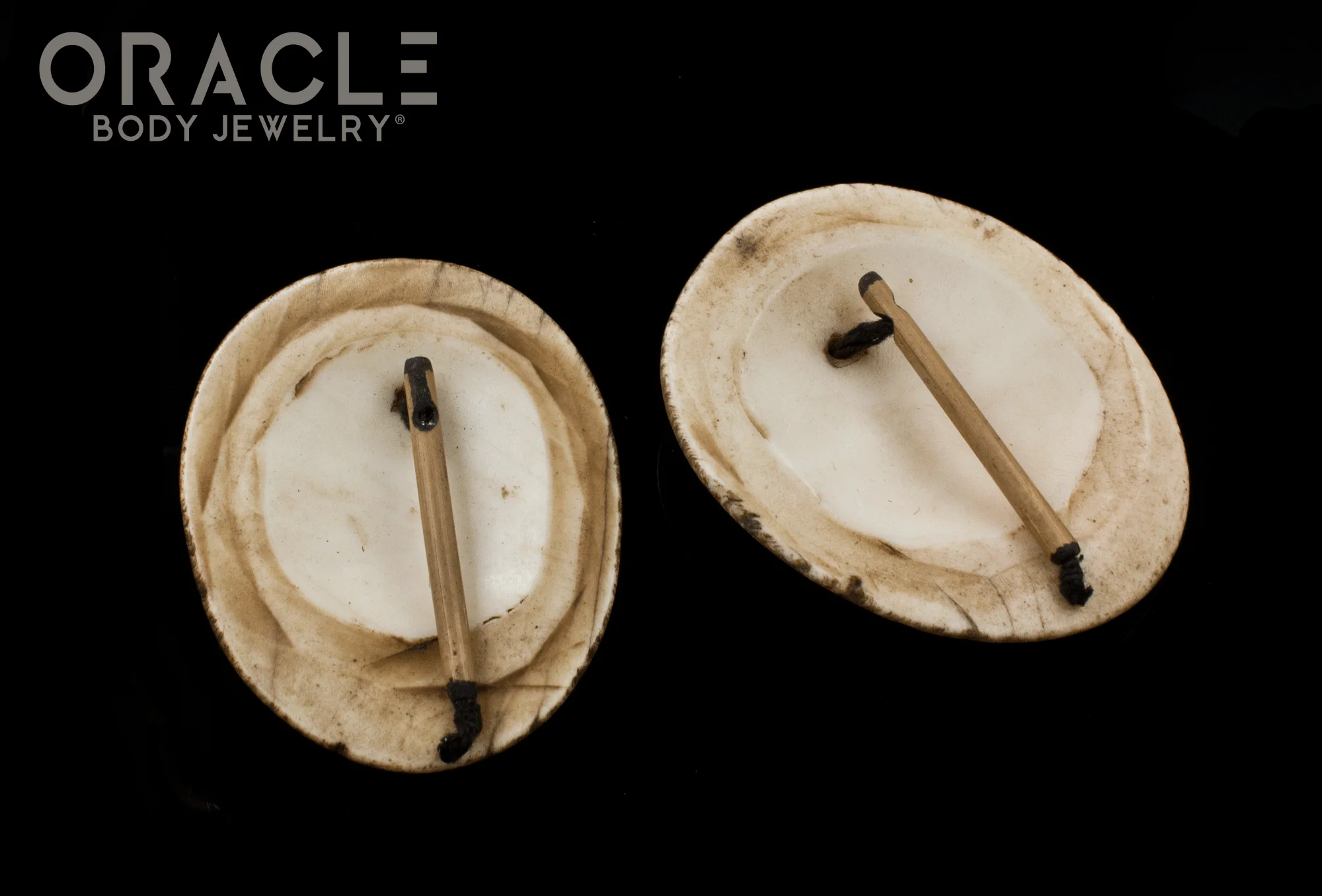 Old Konyak Naga Shell Earrings - Image 2