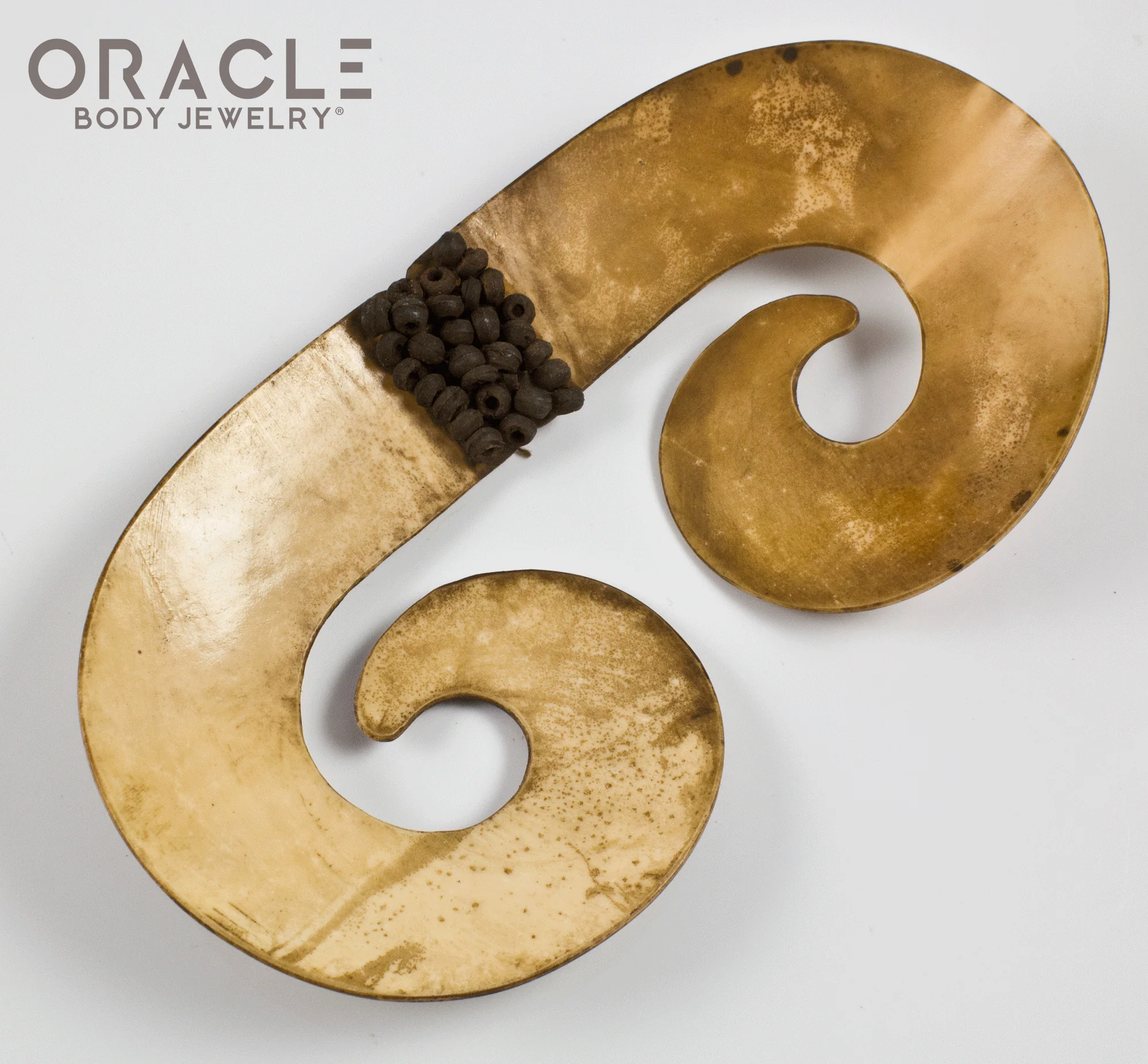 Paupa New Guinea Asmat Large Shell Septum Adornment - Image 2