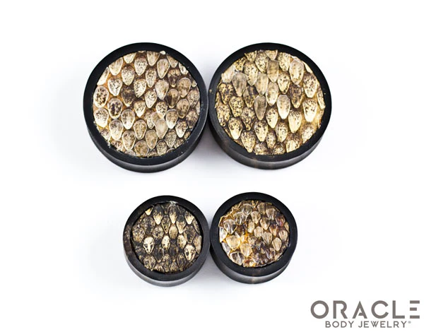 Rattlesnake Skin Plugs - Image 2