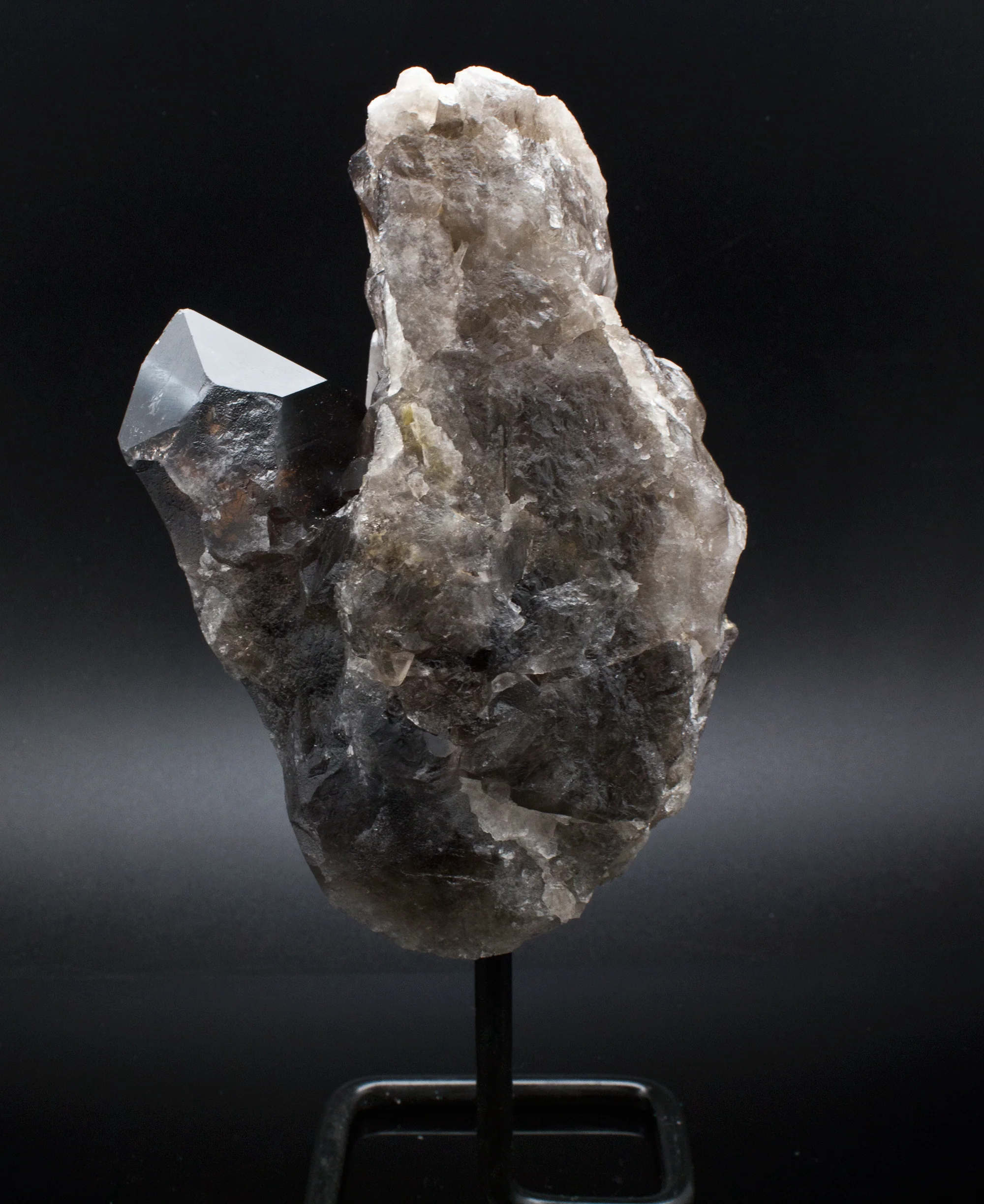 Smoky Quartz Specimen on Stand - Image 3