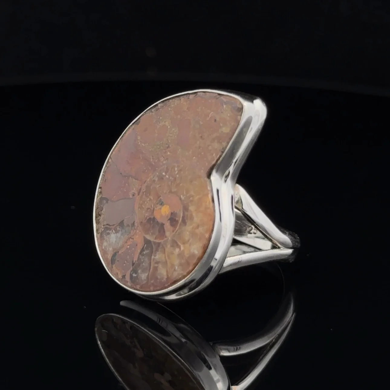 Sterling Silver Ammonite Ring Size 9 - Image 3