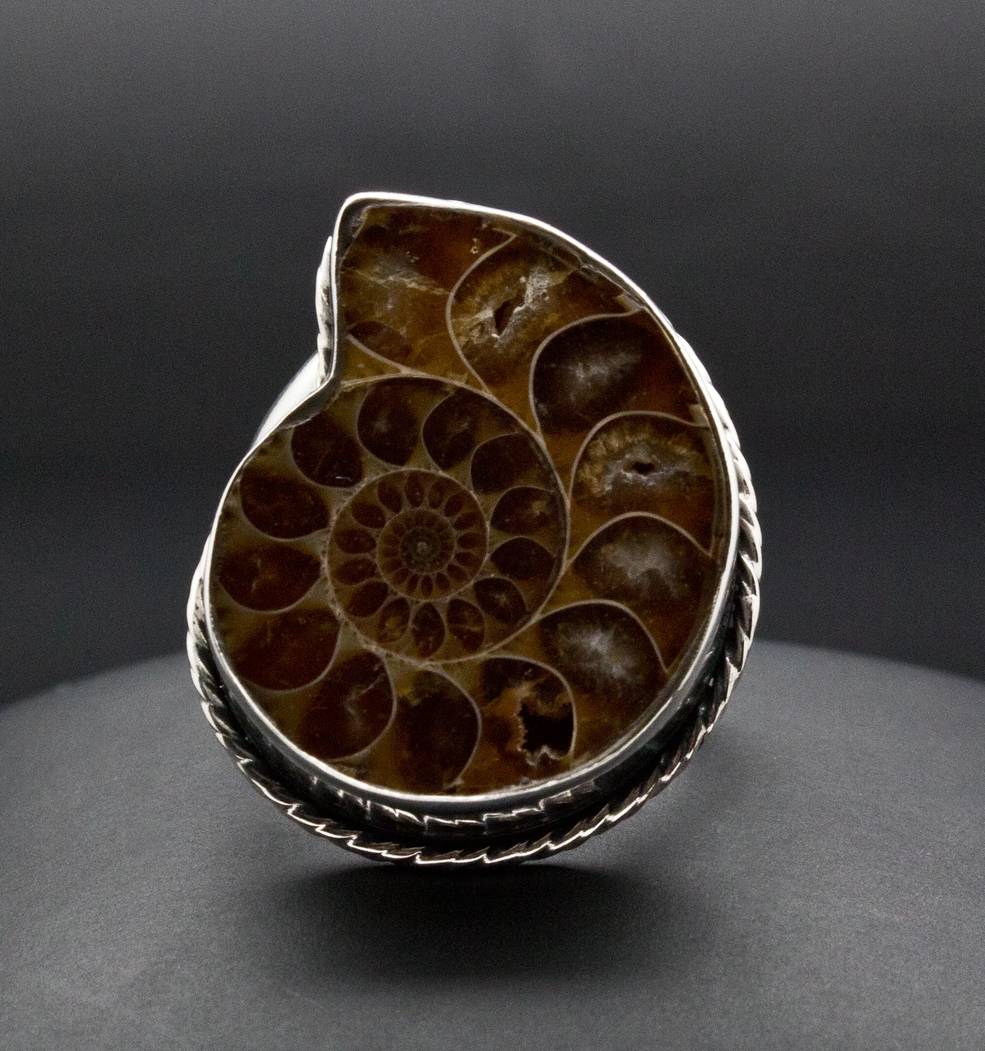 Sterling Silver Ammonite Ring Size 9 - Image 2
