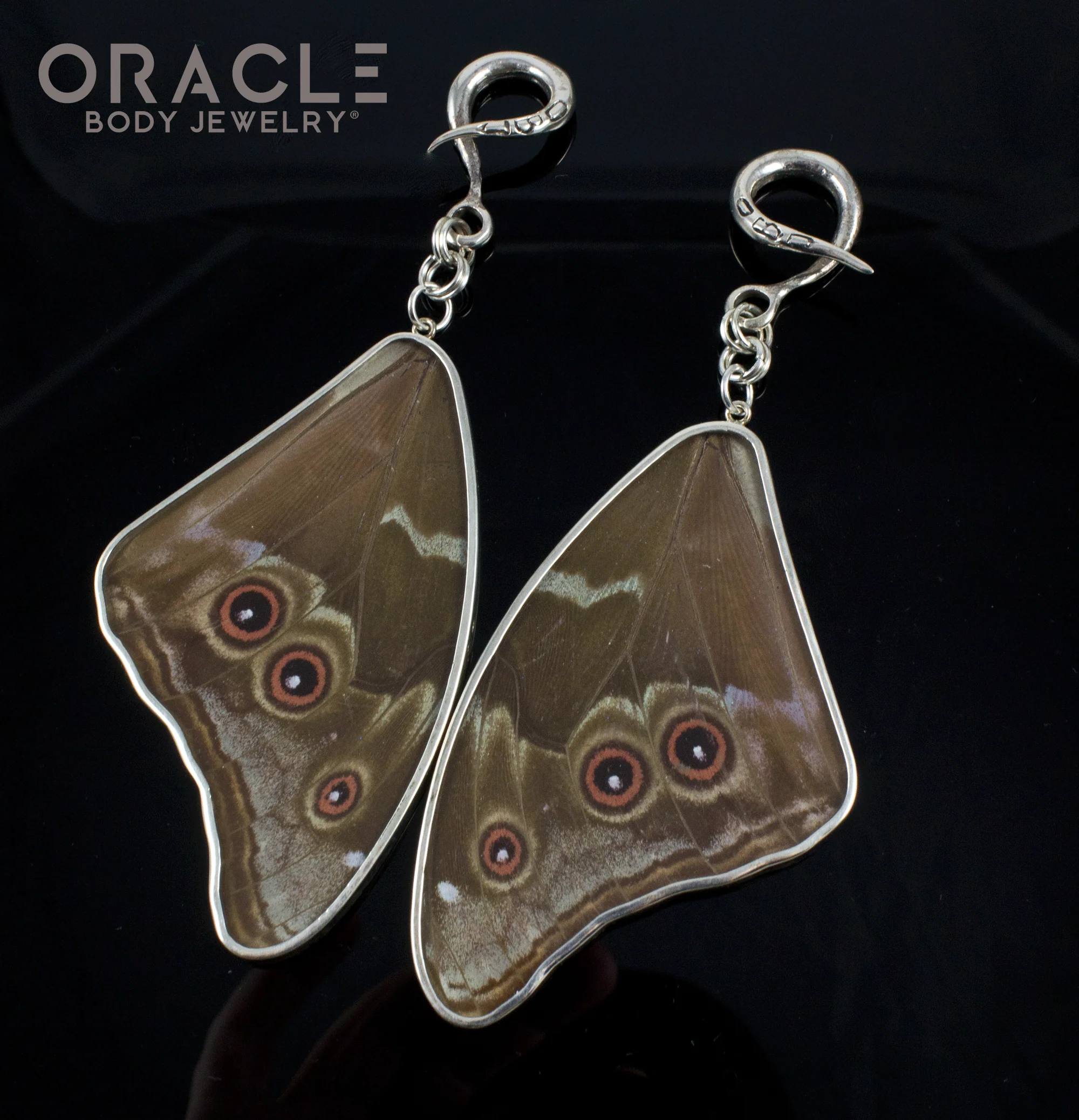 Sterling Silver Crossover With Natural Blue Morpho Butterfly Wings - Image 3