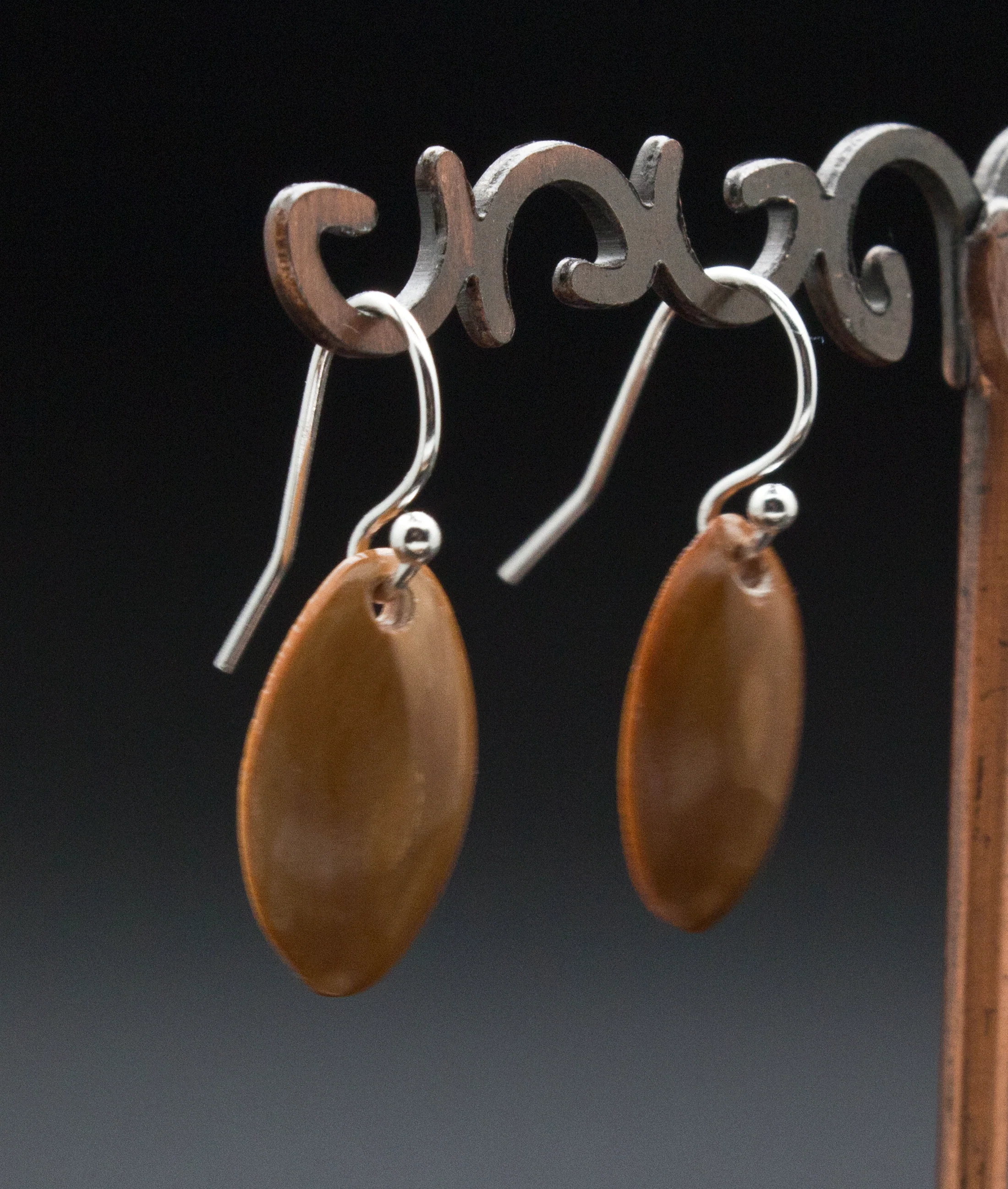 Sterling Silver Fossilized Mammoth Ivory Earrings - Image 2