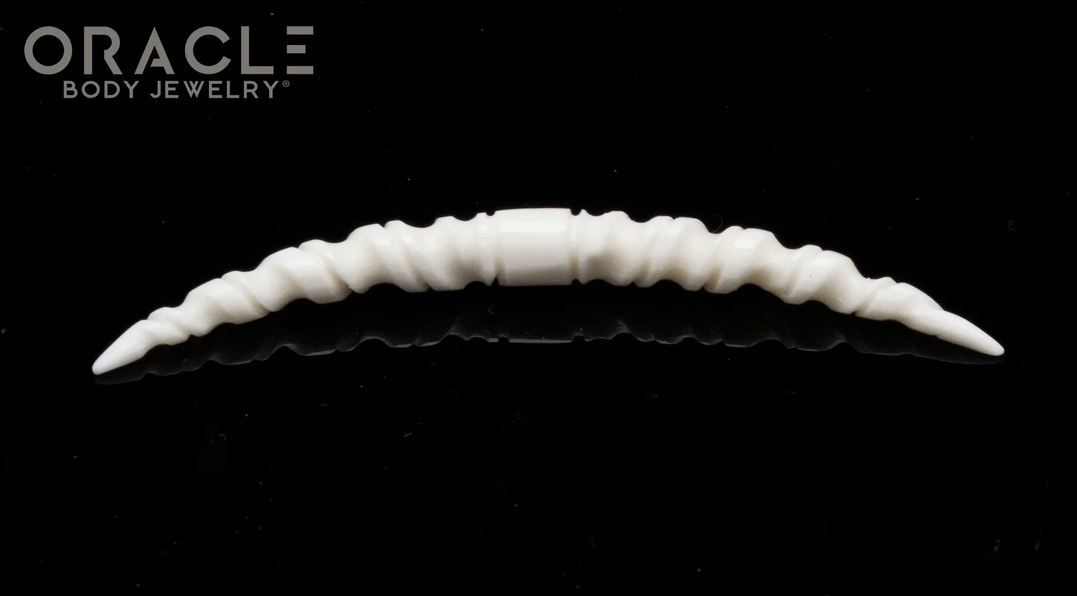 Twisted Bone Septum Tusk - Image 2