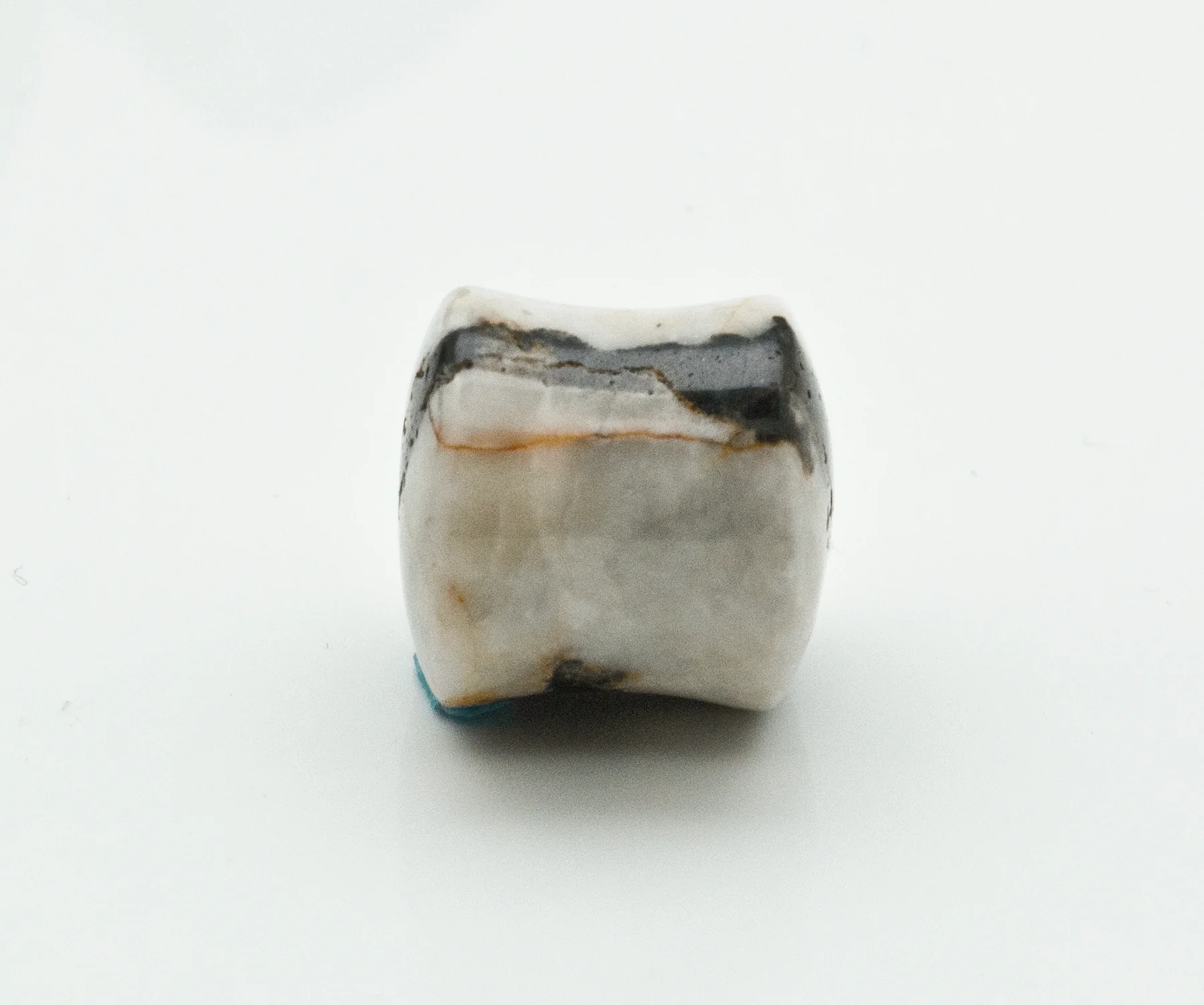 Zebra Stone Double Flare Plugs - Image 3