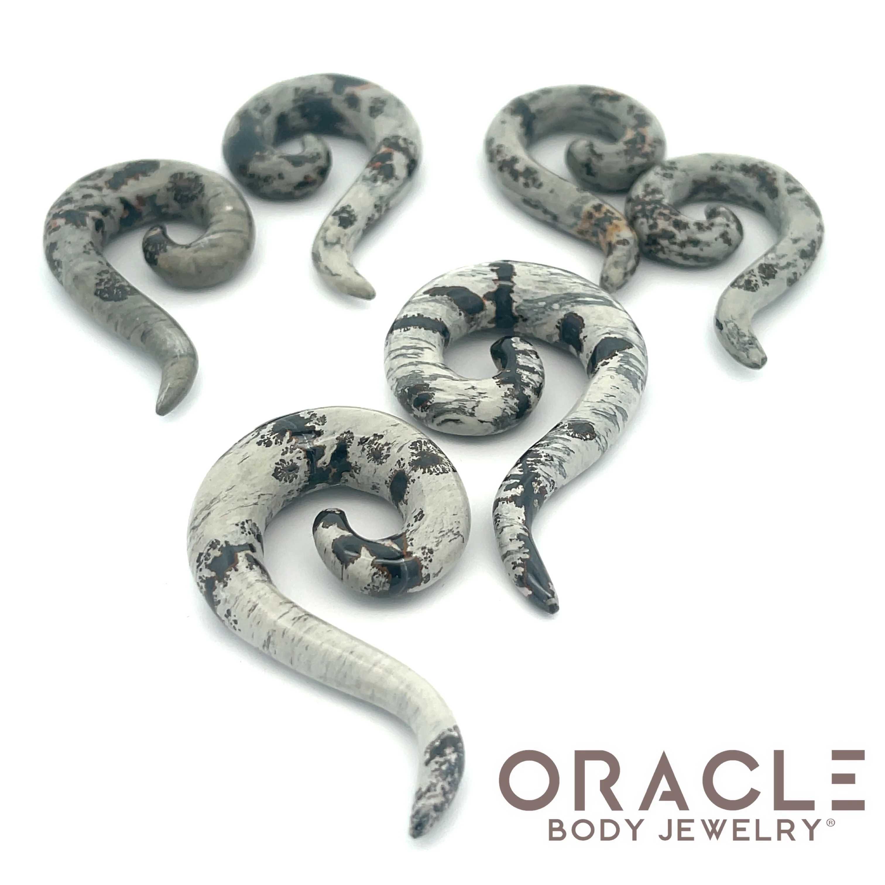Zebra Stone Tail Spirals - Image 2